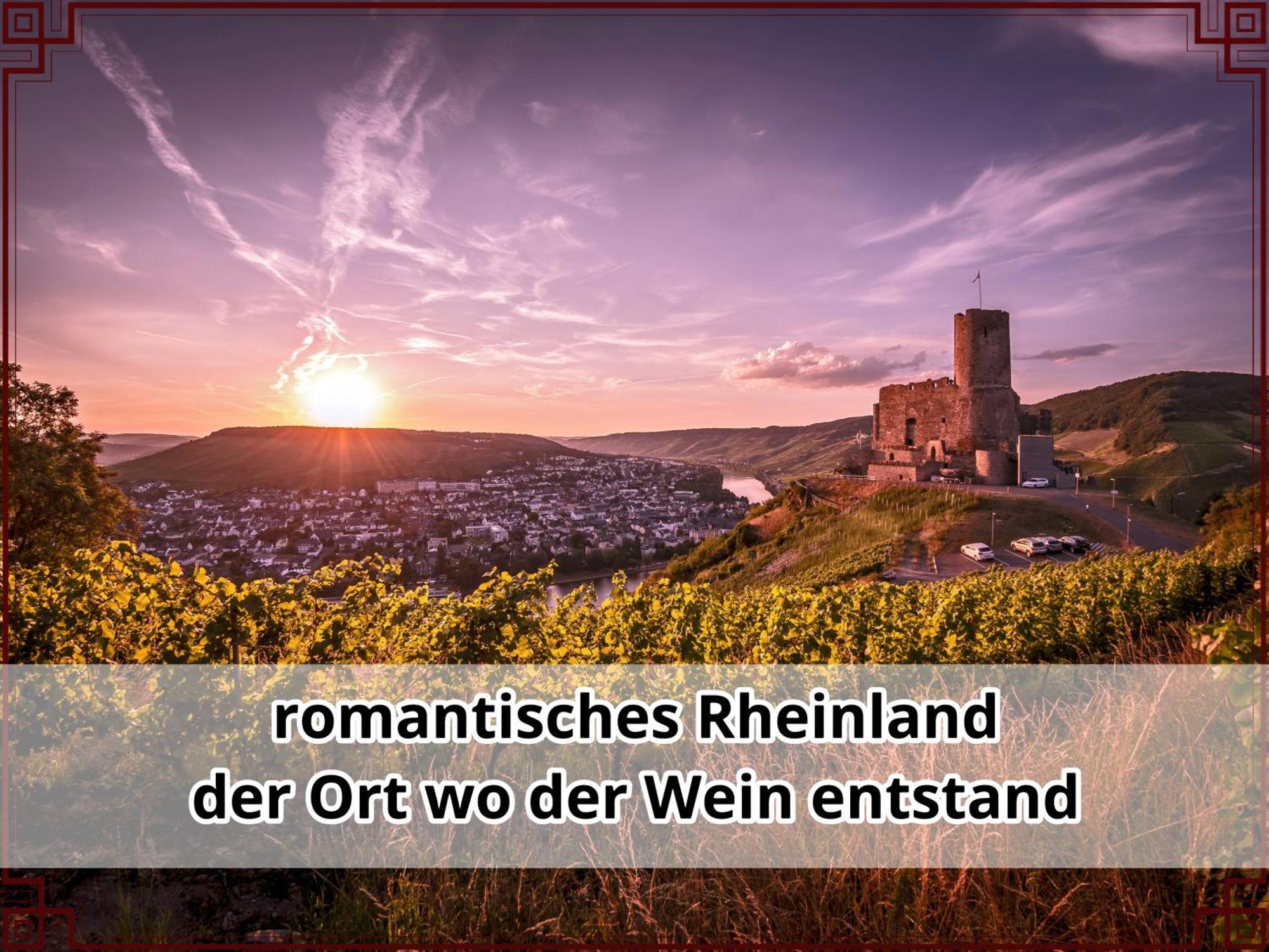 Smallsaigon Apartment Mit Guter Anbindung Zwischen Mosel Und Rhein Leiningen Luaran gambar